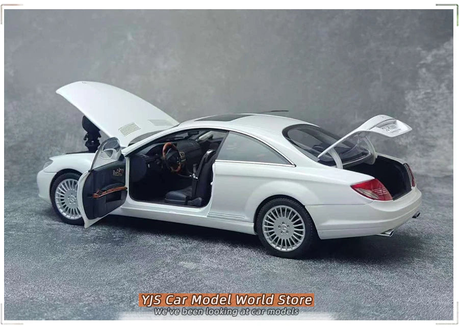 1:18 BMW M3 GTR (E46)