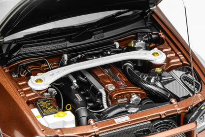 1:18 Nissan Skyline GT-R (R34)