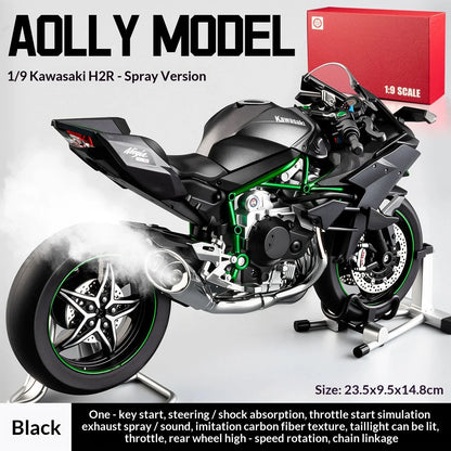 1:9 Kawasaki H2R