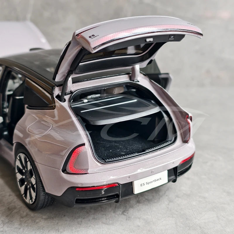 1:18 Audi E5 Sportback