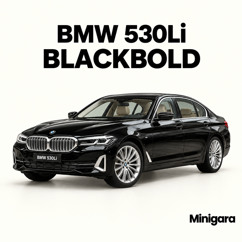 BMW 530Li