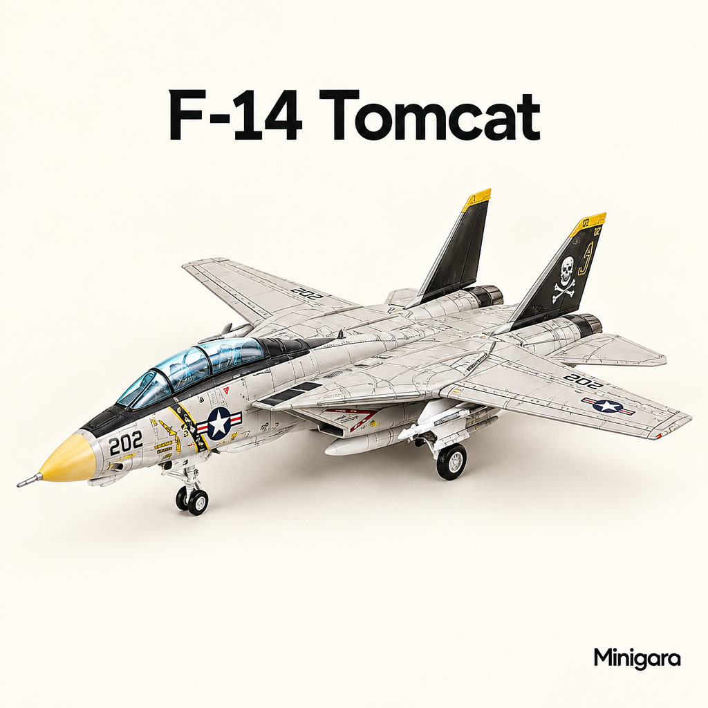 F-14 Tomcat