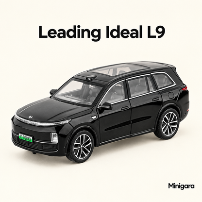 Leading Ideal L9