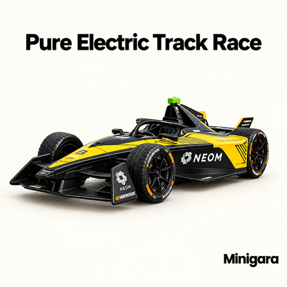 Pure Electric Track Race