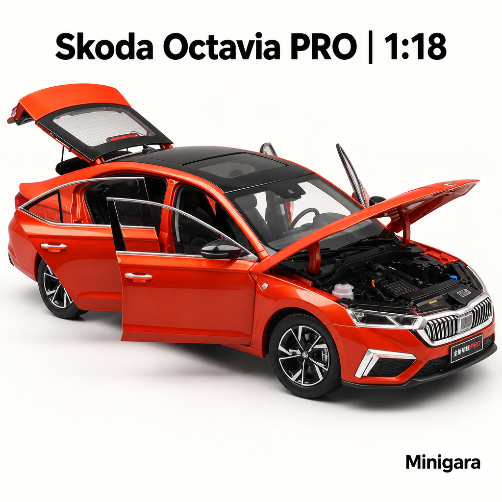 Skoda Octavia PRO cam